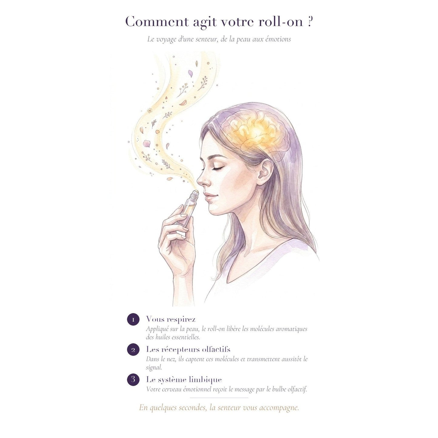 Comment agit votre roll-on — mécanisme olfactif