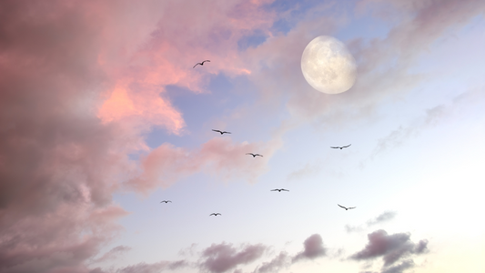 Pleine Lune : Comment la Super Lune Rose du 24 Avril Va Transformer Ces Signes !