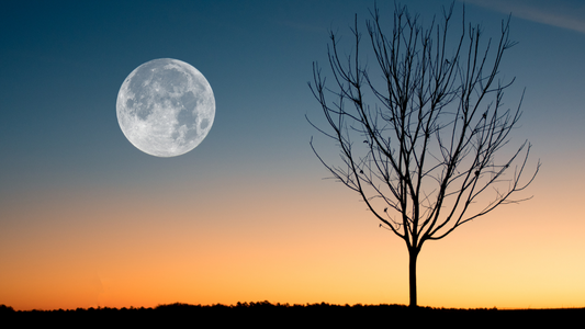 Pleine lune du 25 mars: préparez vous à des changement radicaux