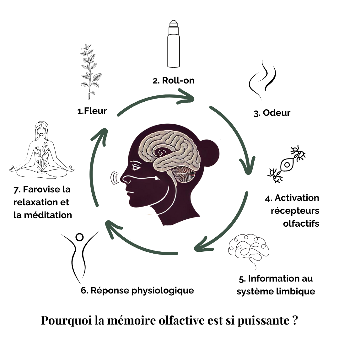 Roll-On Méditation