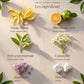 Ingrédients du roll-on Anti-Stress : Ylang-Ylang, Mandarine verte, Petit grain bigarade, Camomille, Améthyste, Howlite.