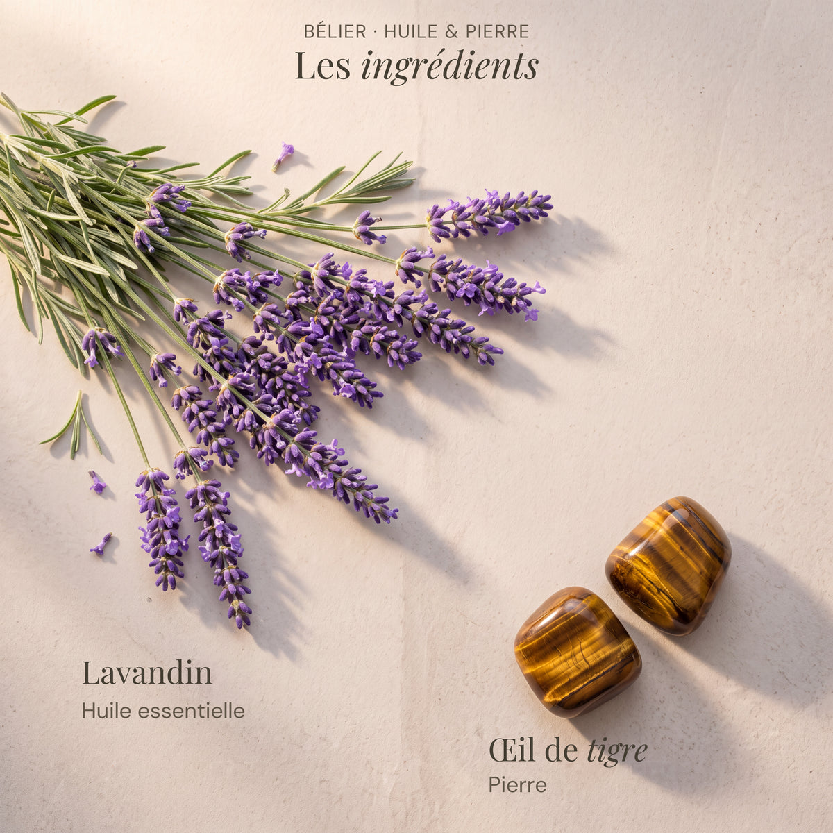 Ingrédients du roll-on astrologique Bélier : Lavandin, Œil de tigre.