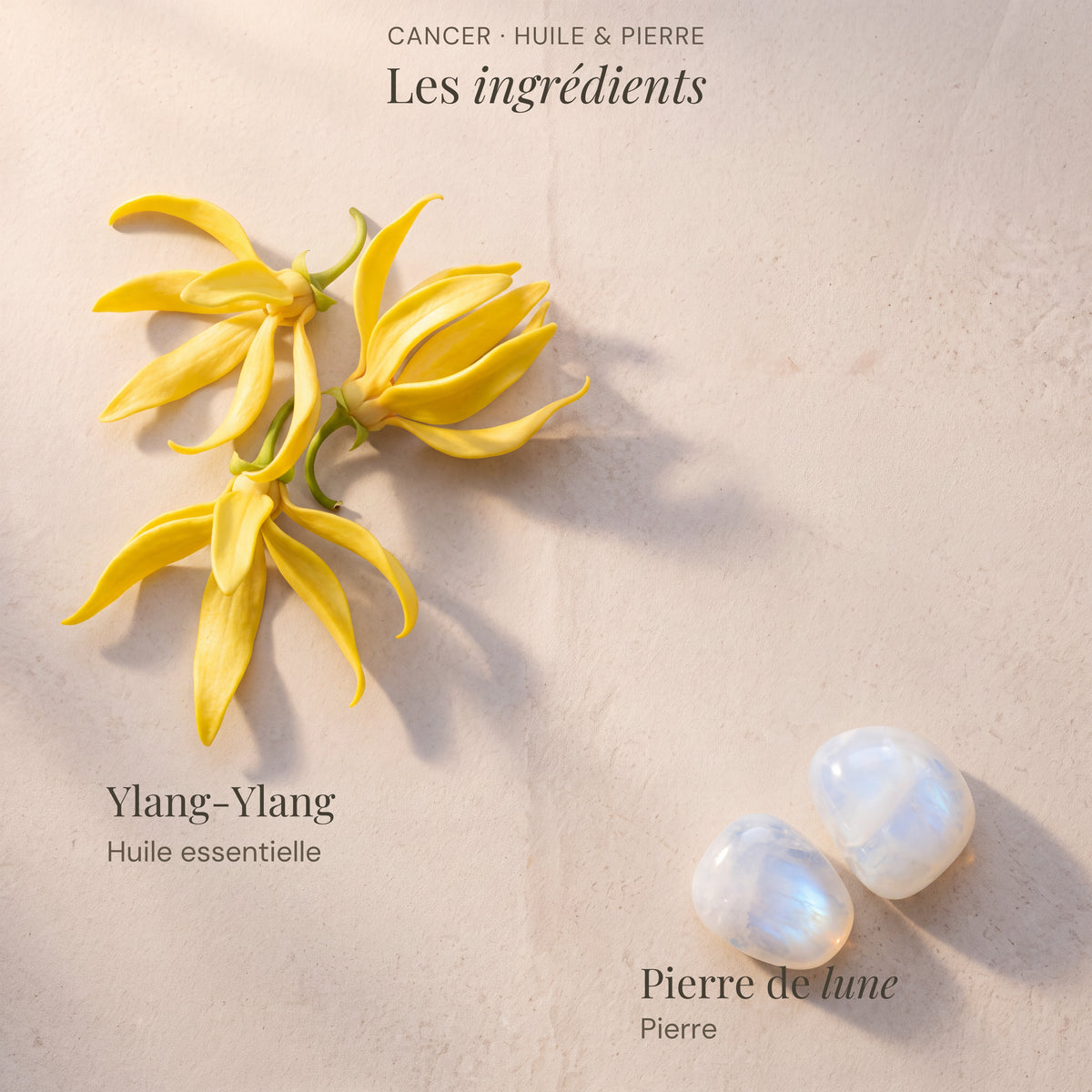 Ingrédients du roll-on astrologique Cancer : Ylang-Ylang, Pierre de lune.