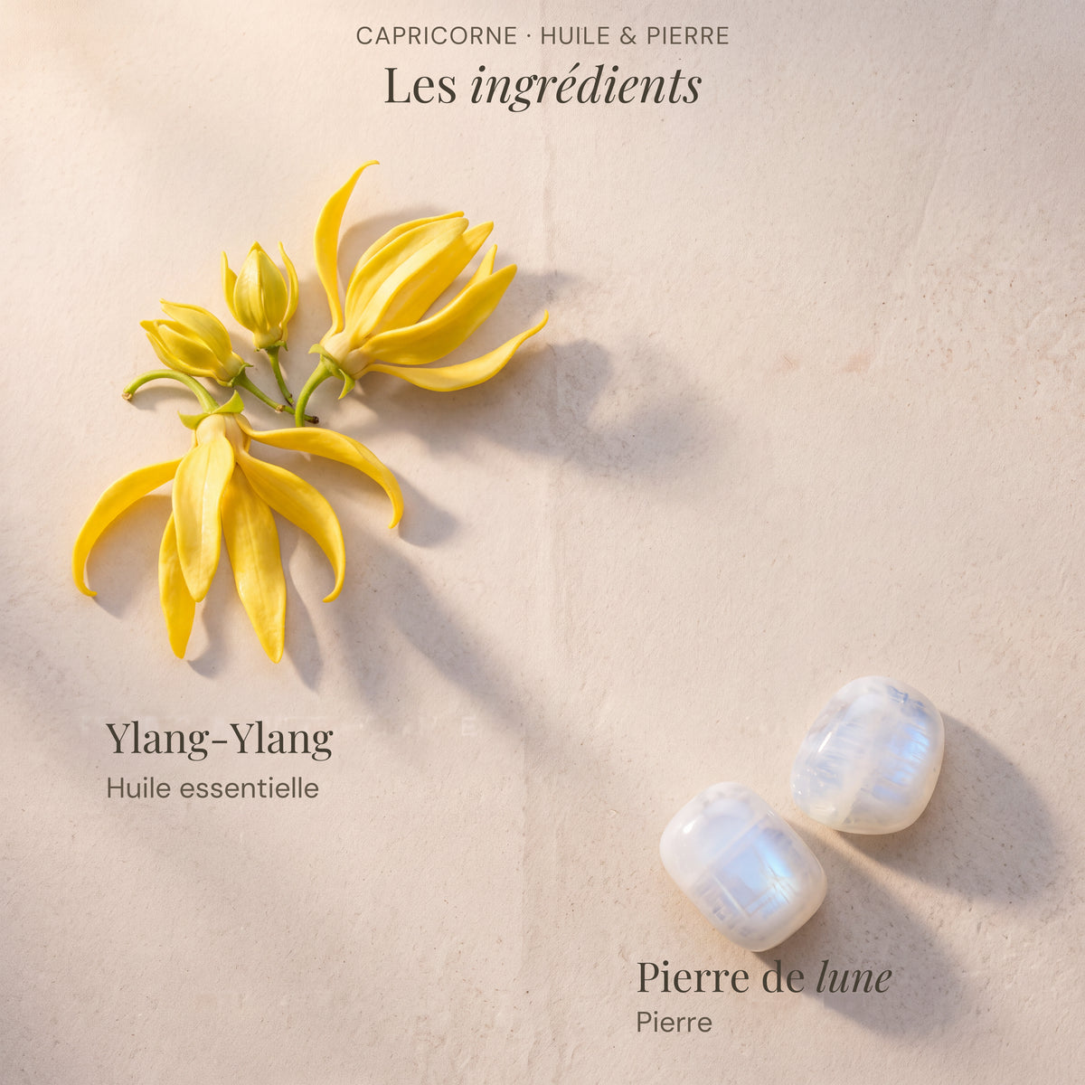 Ingrédients du roll-on astrologique Capricorne : Ylang-Ylang, Pierre de lune.