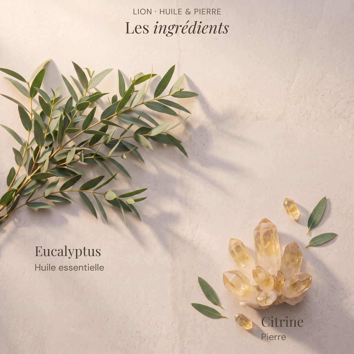 Ingrédients du roll-on astrologique Lion : Eucalyptus, Citrine.