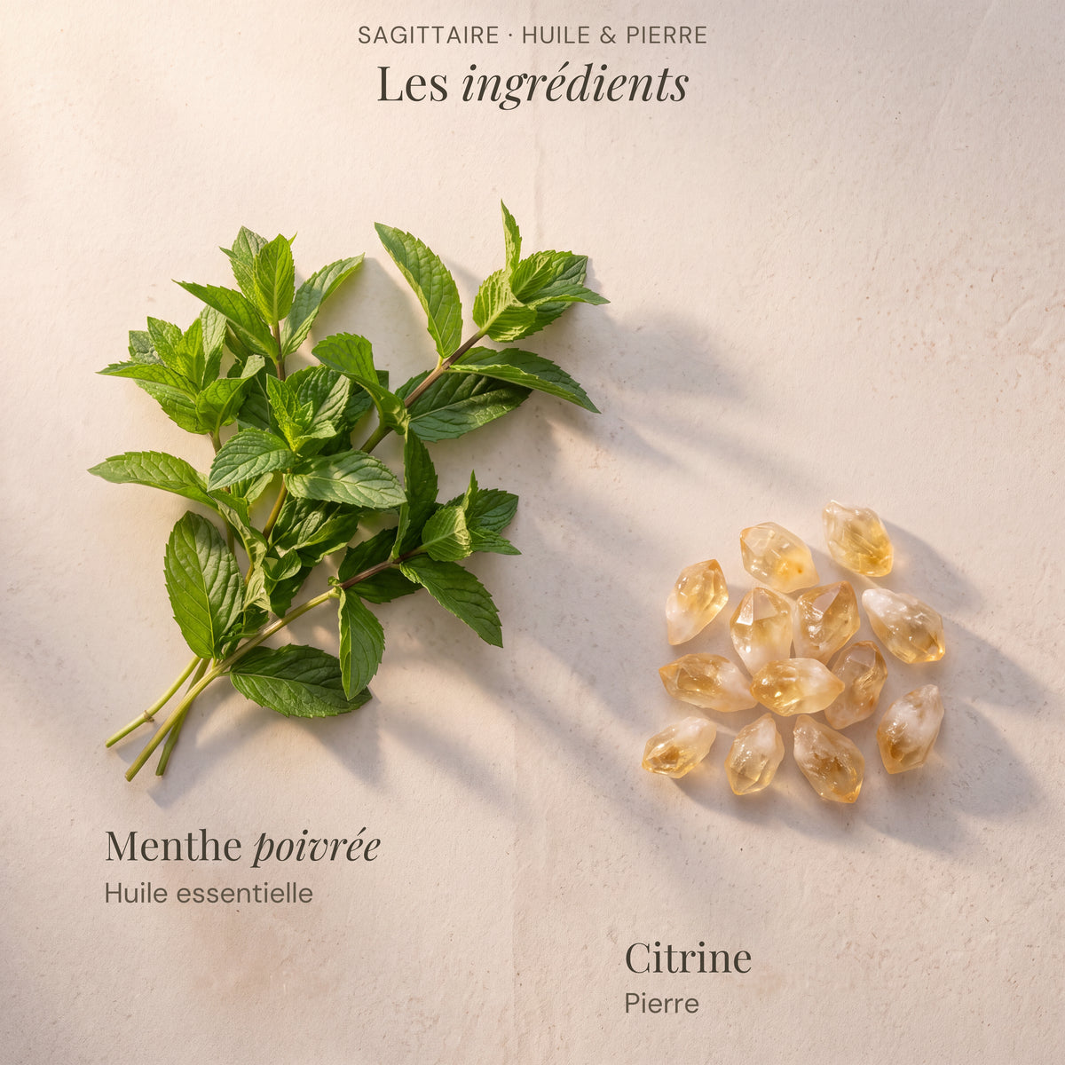 Ingrédients du roll-on astrologique Sagittaire : Menthe poivrée, Citrine.