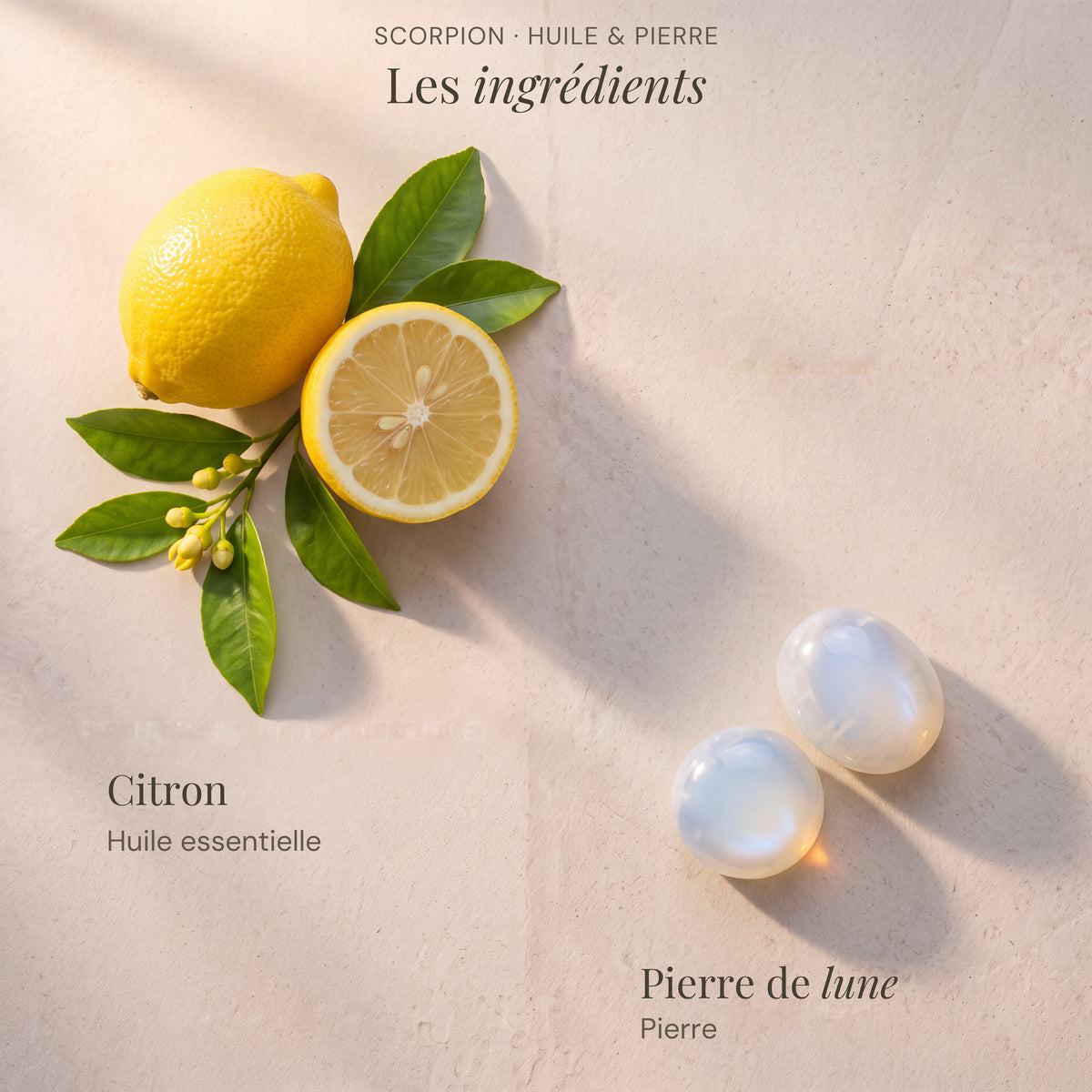 Ingrédients du roll-on astrologique Scorpion : Citron, Pierre de lune.