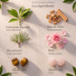 Ingrédients du roll-on Confiance : Petit grain bigarade, Bois de cèdre, Pin sylvestre, Rose, Œil de tigre, Quartz rose.