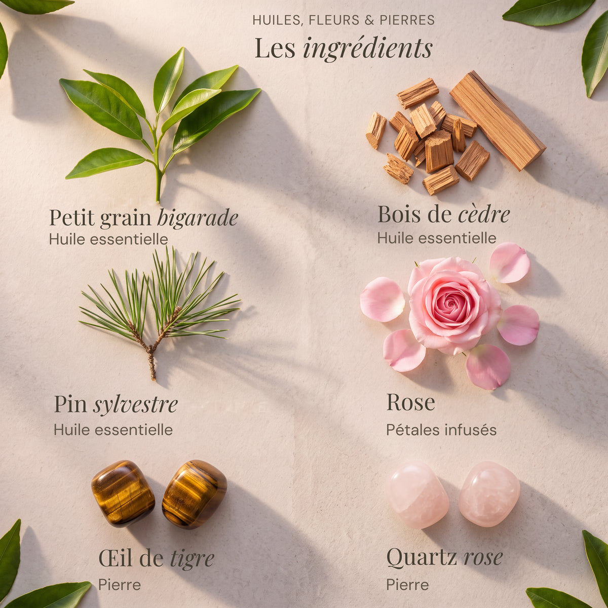 Ingrédients du roll-on Confiance : Petit grain bigarade, Bois de cèdre, Pin sylvestre, Rose, Œil de tigre, Quartz rose.