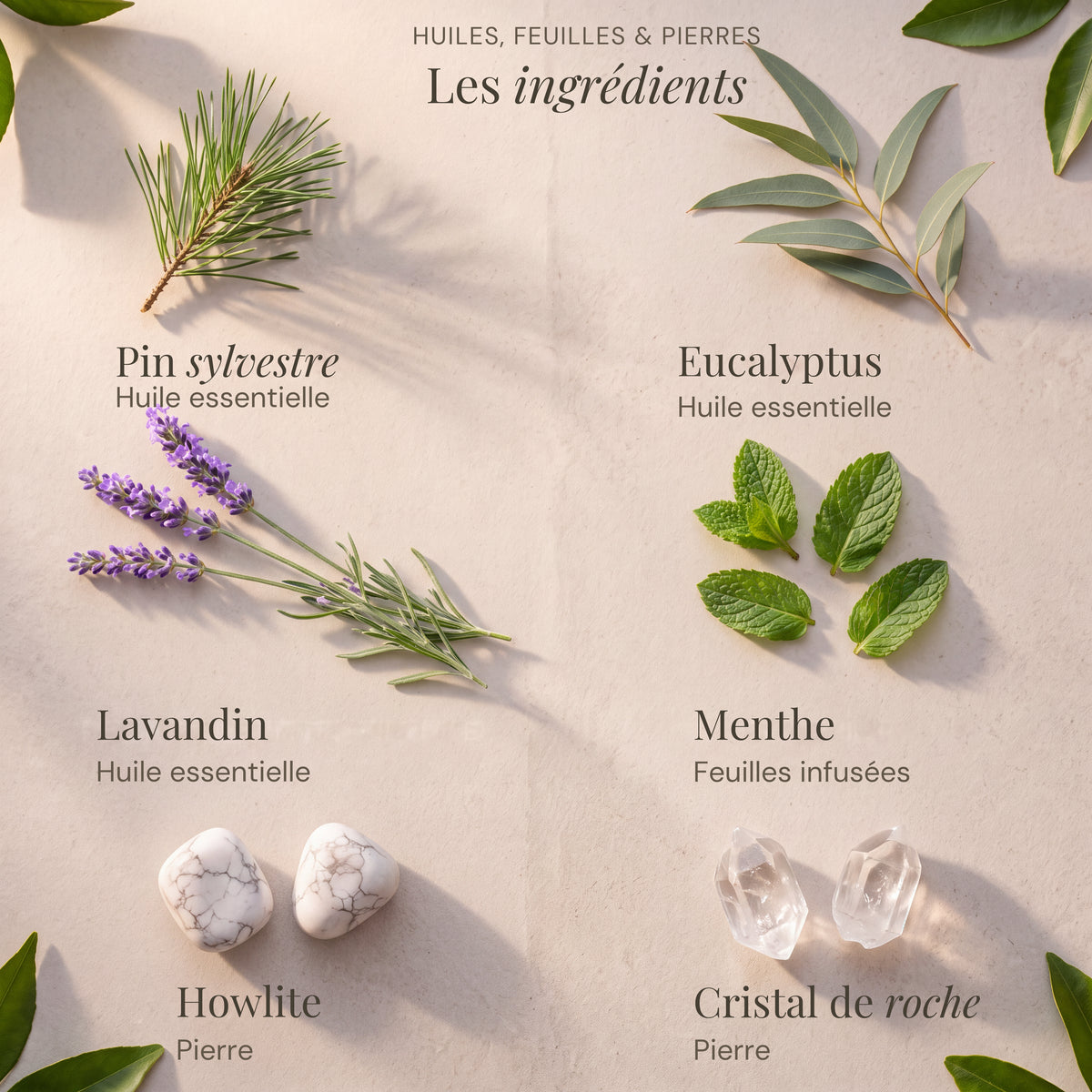Ingrédients du roll-on Détox : Pin sylvestre, Eucalyptus, Lavandin, Menthe, Howlite, Cristal de roche.