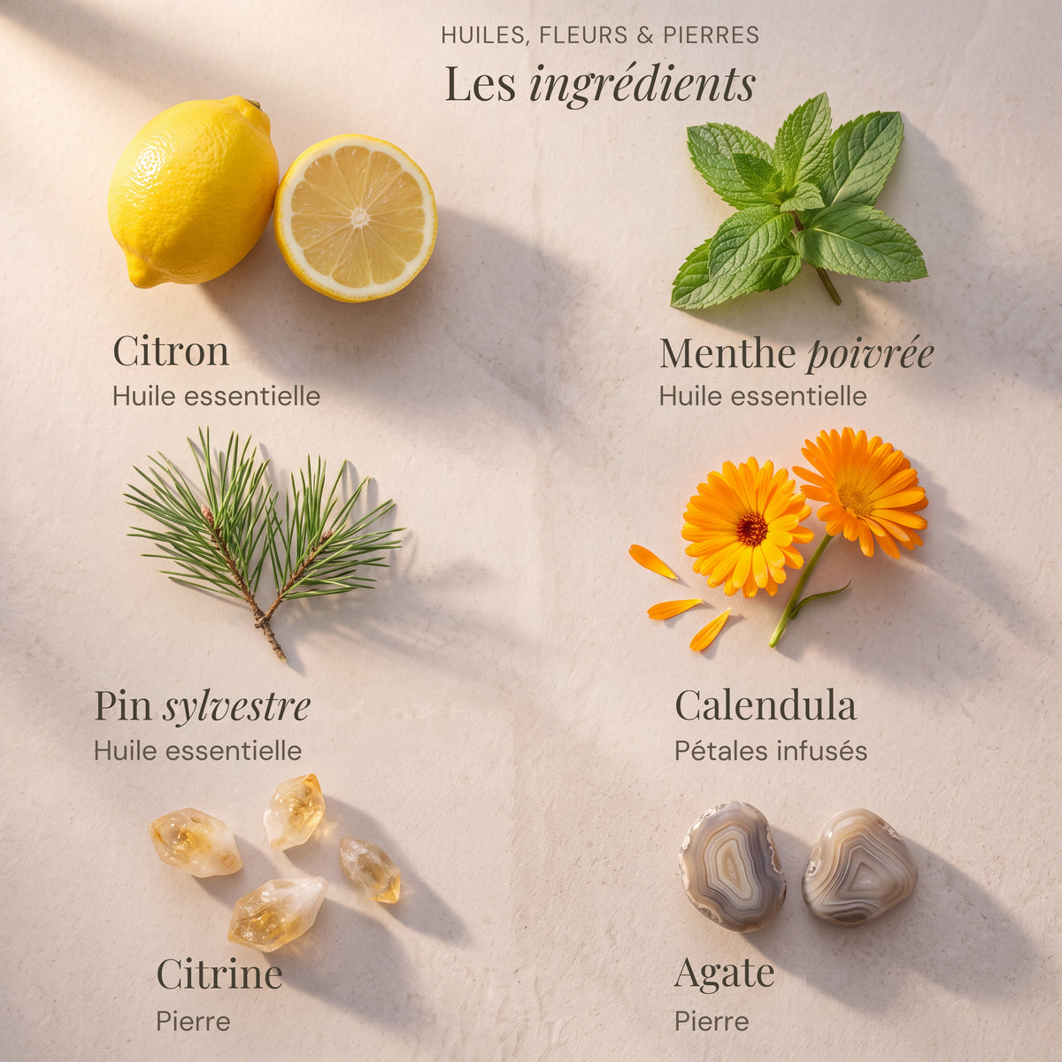 Ingrédients du roll-on Énergie : Citron, Menthe poivrée, Pin sylvestre, Calendula, Citrine, Agate.