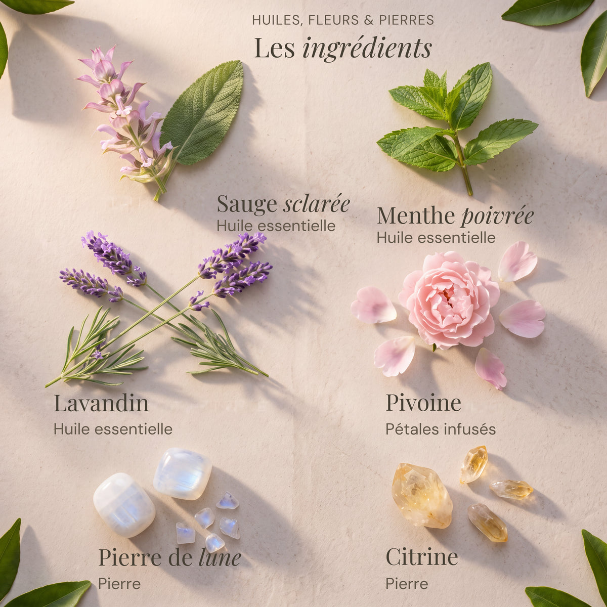Ingrédients du roll-on Menstruel : Sauge sclarée, Menthe poivrée, Lavandin, Pivoine, Pierre de lune, Citrine.