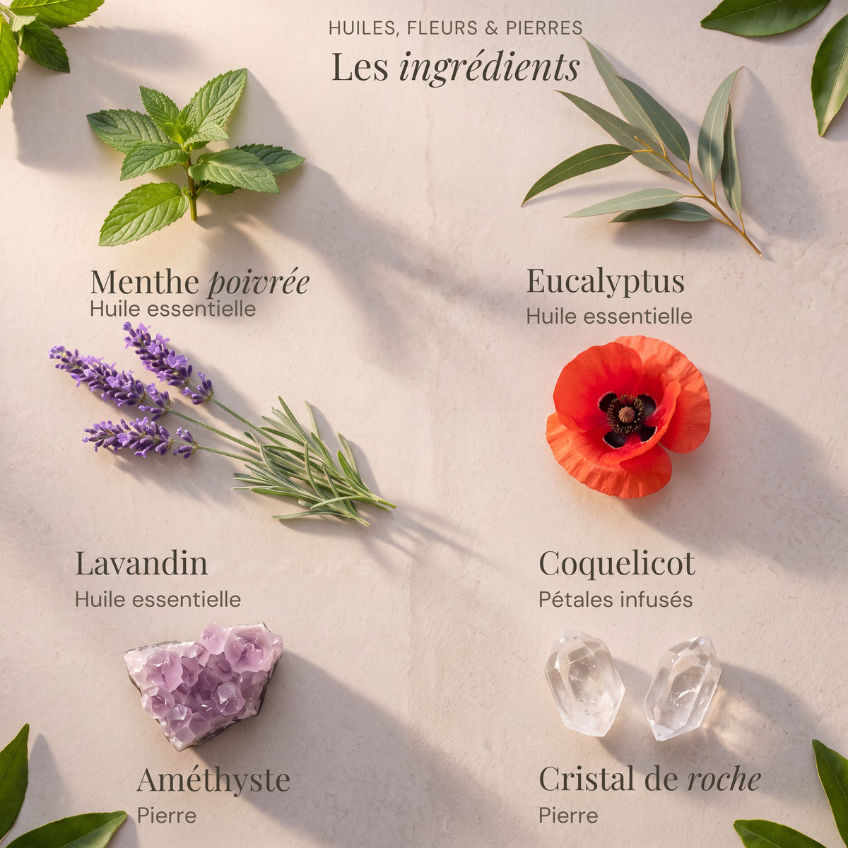 Ingrédients du roll-on Tête et Tempes : Menthe poivrée, Eucalyptus, Lavandin, Coquelicot, Améthyste, Cristal de roche.